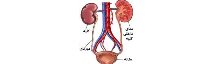 علائم از كار افتادن كليه ها 