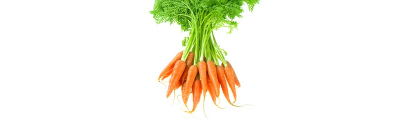 ۶ خاصیت هویج 