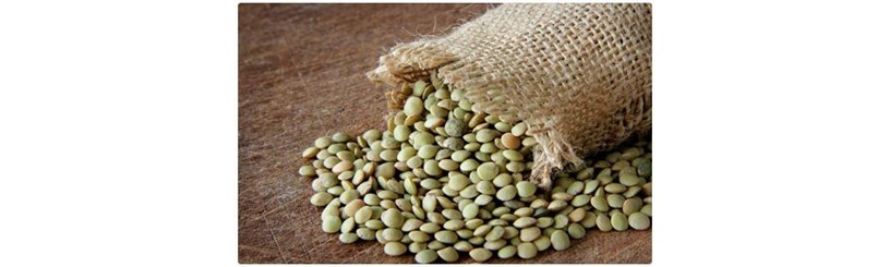 عدس غذایی مفید و به صرفه برای ورزشکاران