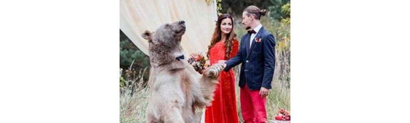 متفاوت‌ترین مراسم عروسی جهان که توسط زوج روسی برگزار شد