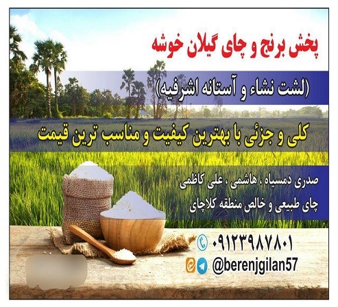 برنج و چای گیلان خوشه