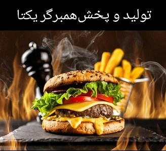 فروش همبرگر