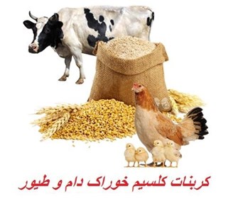 تولید کربنات کلسیم خوراک دام و طیور