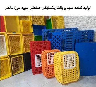 تولید کننده سبد و پالت پلاستیکی صنعتی میوه مرغ ماهی
