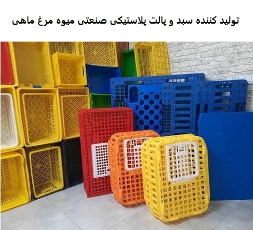 تولید کننده سبد و پالت پلاستیکی صنعتی میوه مرغ ماهی