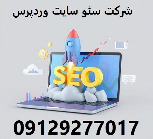 شرکت سئو سایت وردپرس