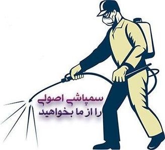 بهترین شرکت سمپاشی در تهران