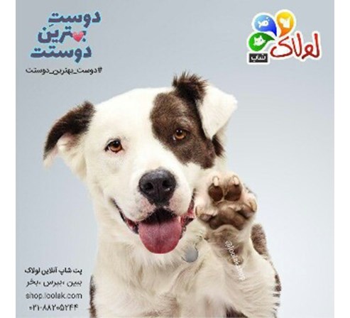 بهترین پت شاپ تهران