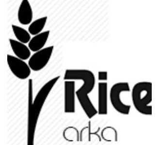 بازار برنج خارجی و ایرانی